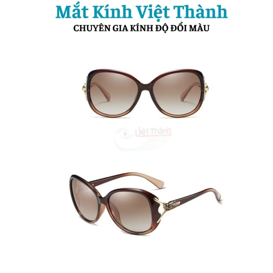 Kính mát thời trang nữ giá sỉ 4 màu KÍNH HỒ LY KÍNH CÁO Mắt Kính Việt Thành